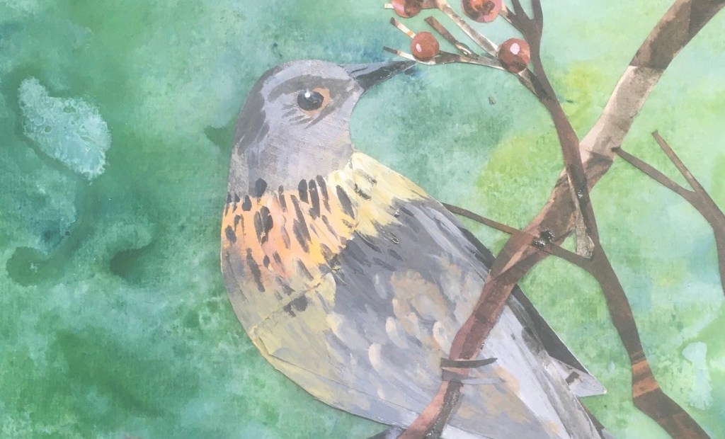 Nancy Angus’s Spark Bird&nbsp;Story