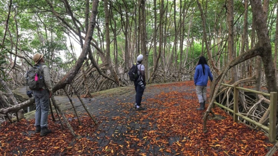 Faraaz Abdool’s Spark Bird&nbsp;Story