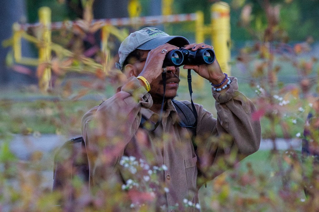 Jared Griffin’s Spark Bird&nbsp;Story