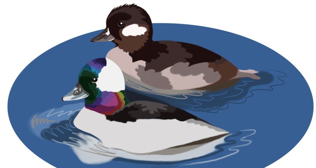 Nathan Pinti’s Spark Bird&nbsp;Story